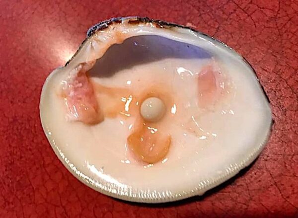 Jersey Shore Diner Finds Pearl in His Clam at Famed Lobster House Restaurant