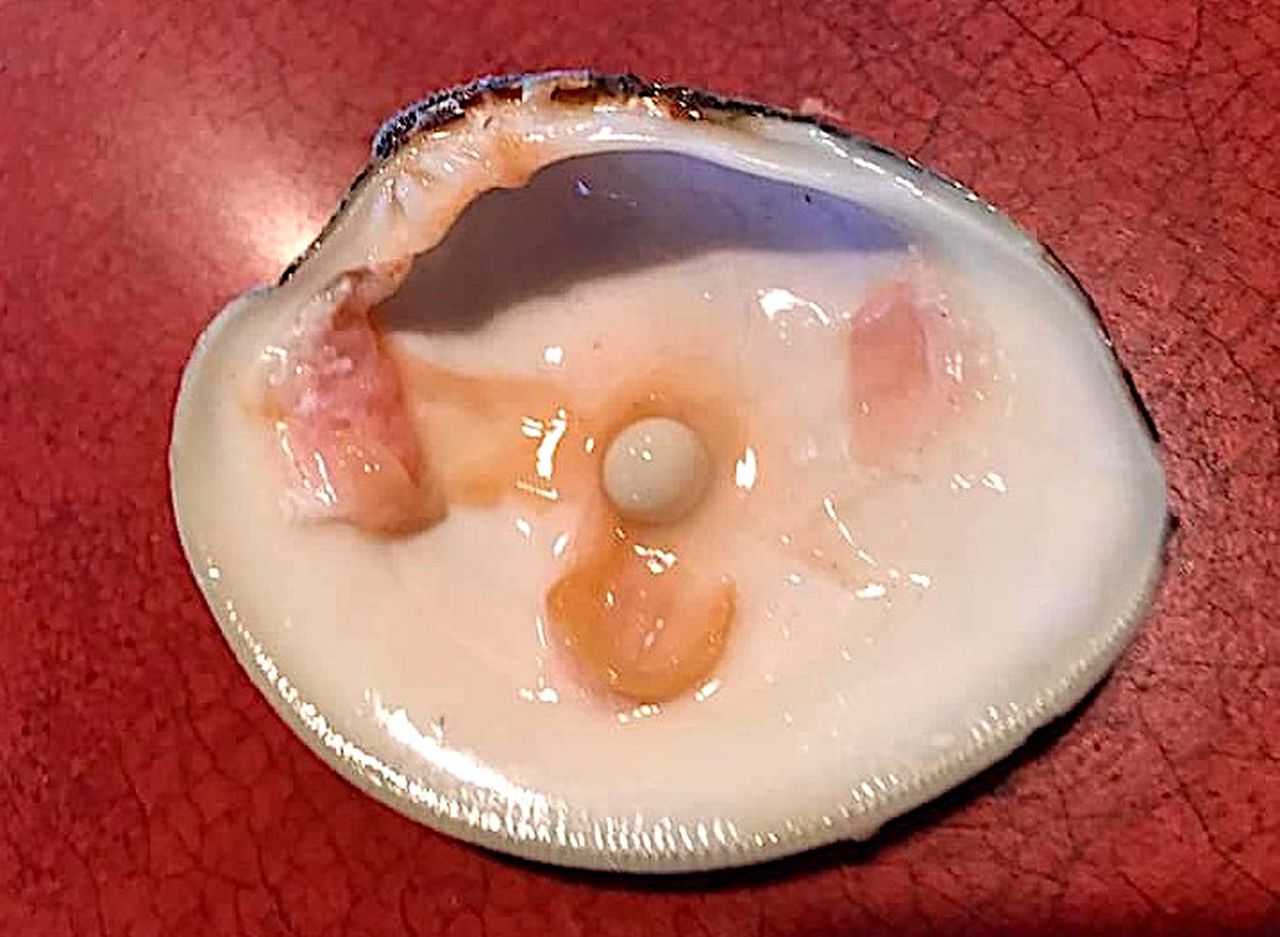 Jersey Shore Diner Finds Pearl in His Clam at Famed Lobster House Restaurant