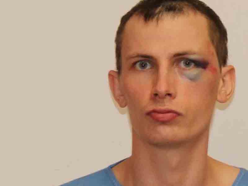 Suspect who stabbed and killed man and his dog in custody