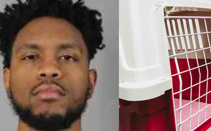 Cheektowaga man arraigned for beating his cats to death