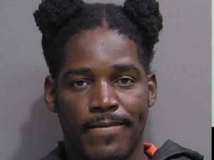 Palm coast man facing drug charges after routine traffic stop