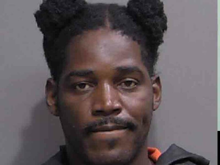 Palm coast man facing drug charges after routine traffic stop - photo licensed by shore news network.