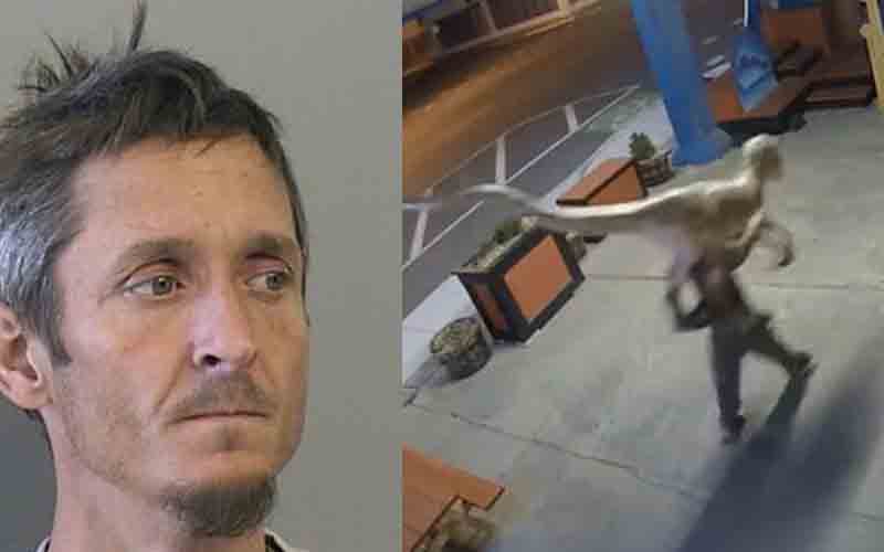 Christmas dinosaur thief arrested for pet-it larceny, but dino continues to elude police