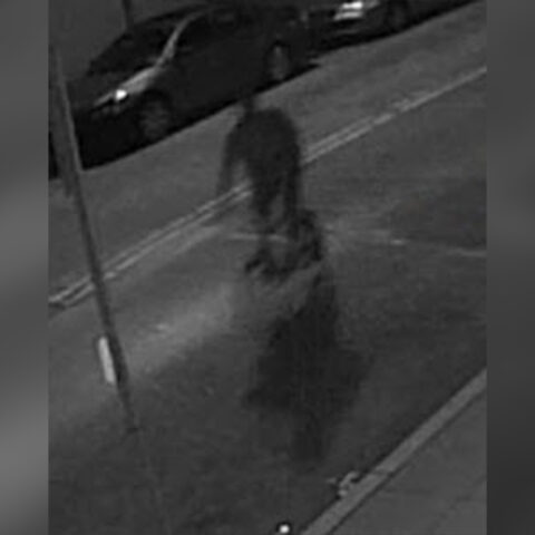 Wanted: suspect for shooting incident in the 19th district [video] - photo licensed by shore news network.