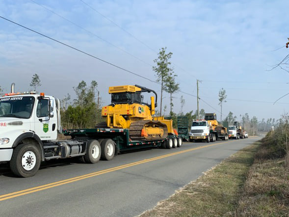 Florida Forest Fires Facts and Figures: Here's what you need to know