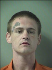 Home invasion suspect picked up by police in crestview