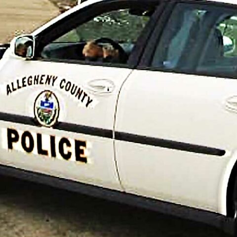 Man shot and killed during picnic in clairton following argument police say - photo licensed by shore news network.