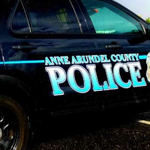 Vehicles damaged, police investigating in severn neighborhood - photo licensed by shore news network.