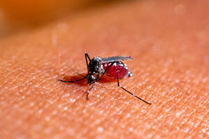 First human cases of west nile virus this year reported in delaware's new castle county