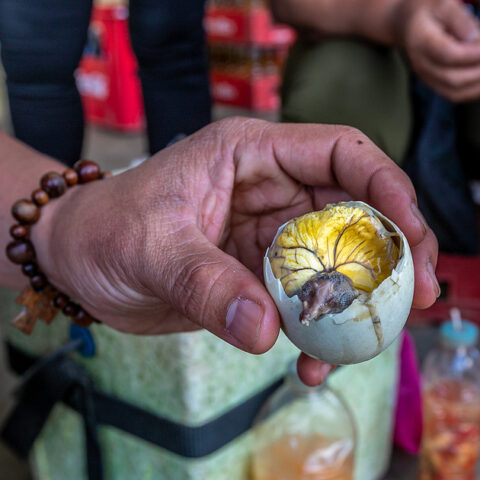 Cbp discovers balut eggs, poppy seed pods - photo licensed by shore news network.