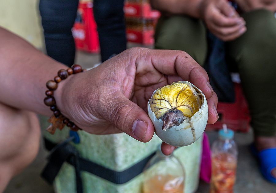 CBP Discovers Balut Eggs, Poppy Seed Pods