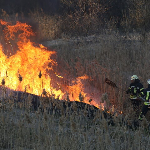 What's on fire near holiday city berkeley? - photo licensed by shore news network.