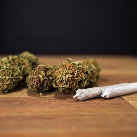 Two hundred pounds of pot, psychedelic mushrooms seized in pemberton dealer bust - photo licensed by shore news network.