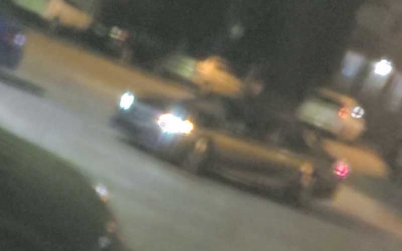 Bloomsburg Police Seeking to Identify "Cat" Thief