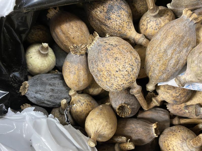 CBP Discovers Balut Eggs, Poppy Seed Pods poppy