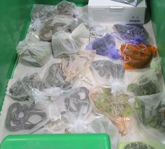 Is that a snake in your pants? Border officers find 52 reptiles in man's clothing U.S. Customs and Border Protection officers at the San Ysidro port of entry thwarted a significant smuggling attempt after discovering 52 reptiles, tied up in small bags and hidden in and under a man’s clothing as he tried to cross the border into the U.S.