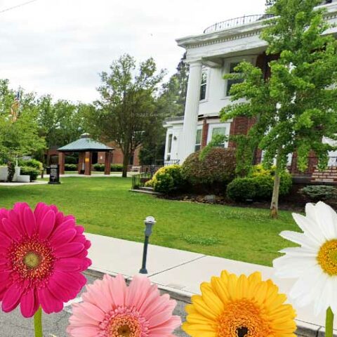 Downtown toms river is hosting a spring festival and here's what's happening - photo licensed by shore news network.