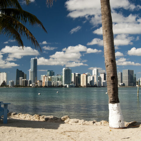 D. C. Man wins $100k in maryland lottery plans trip to miami - photo licensed by shore news network.