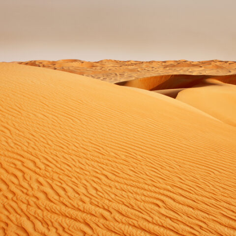 Massive storm in sahara desert covers countries thousands of miles away with dust - photo licensed by shore news network.