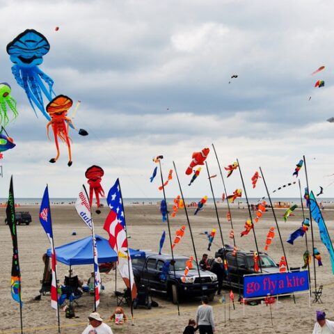 10 ways to enjoy spring in new jersey - photo licensed by shore news network.