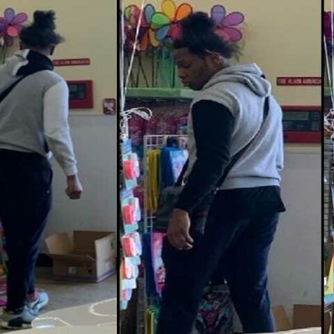 Woman groped at bronx shopping center, police say - photo licensed by shore news network.