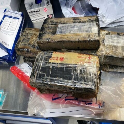 Cbp officers, agriculture specialists seize 124 pounds of prohibited fresh pork, poultry meat at laredo port of entry - photo licensed by shore news network.