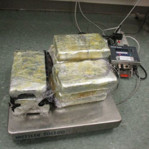 Oficiales de cbp de brownsville incautan $587,000 en narcóticos en tres incautaciones - photo licensed by shore news network.