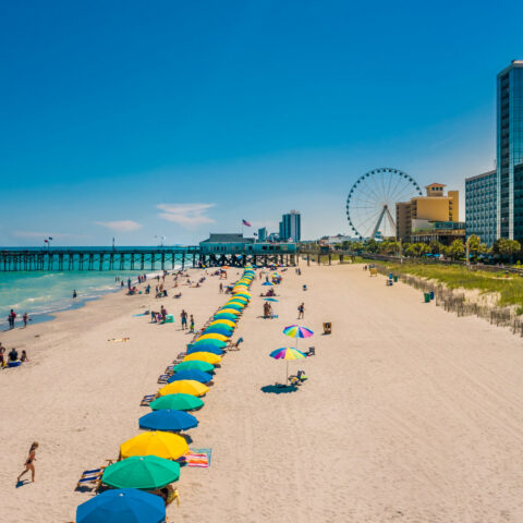 Spring into travel with ease at myrtle beach, south carolina - photo licensed by shore news network.
