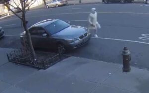 Woman knocked to ground, robbed in the bronx