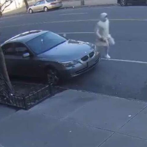 Woman knocked to ground, robbed in the bronx - photo licensed by shore news network.