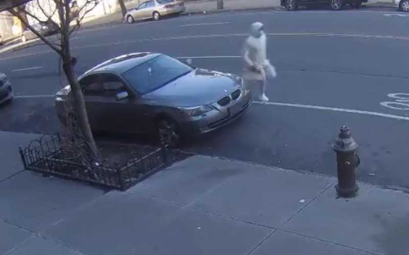 Woman knocked to ground, robbed in the Bronx