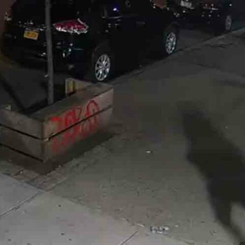 Man stabbed multiple times inside new york city mcdonald's - photo licensed by shore news network.