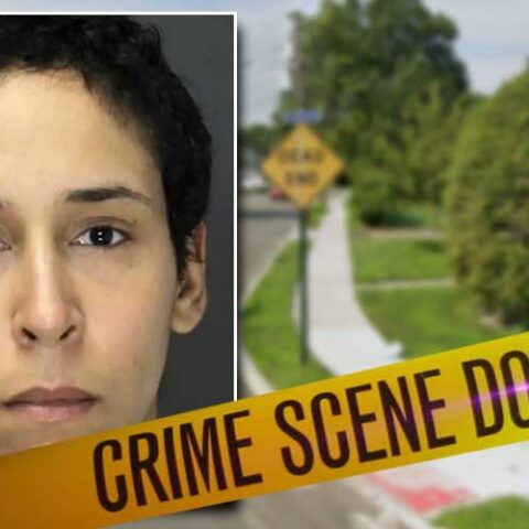 Florida woman murdered her sister then fled in stolen car full of guns - photo licensed by shore news network.