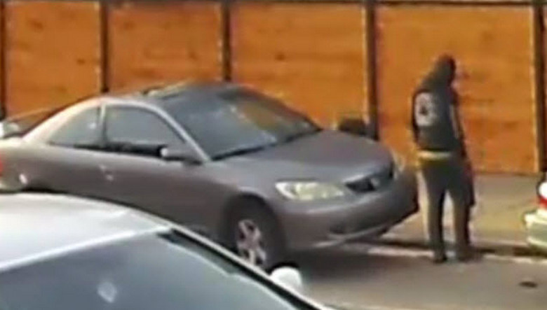 Philadelphia "Cat" Thief Wanted by Police