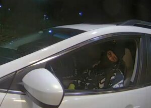Police seeking to identify potomac car thief