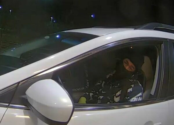 Police Seeking to Identify Potomac Car Thief