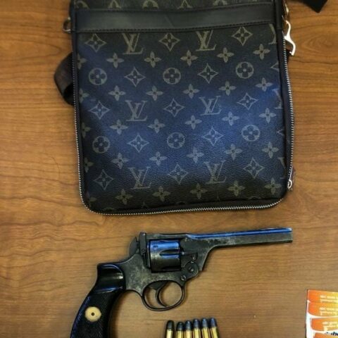 Recently released parolee tossed louis vuitton bag with gun as he fled police - photo licensed by shore news network.
