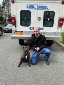 Is this your dog? Found in central nyack