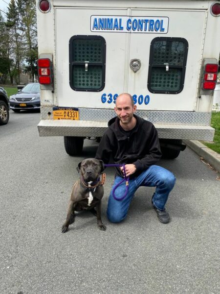 Is This Your Dog? Found in Central Nyack