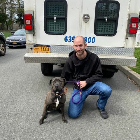 Is this your dog? Found in central nyack - photo licensed by shore news network.