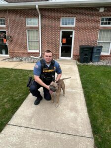 Is he yours? Police helping to find home for dog found in pemberton