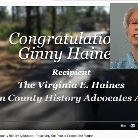 Did ocean county commissioner haines award herself with an imaginary award? - photo licensed by shore news network.