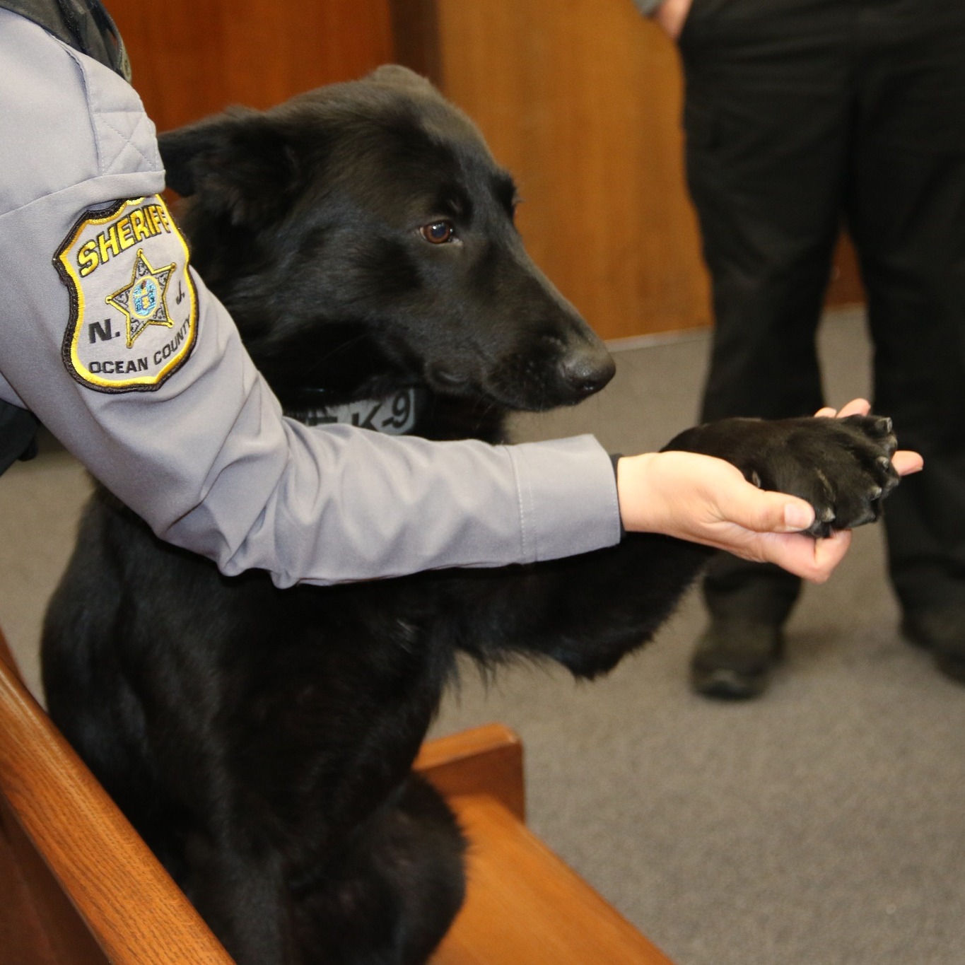 Ocean County Sheriff's Department Gets New Bomb Sniffing K-9