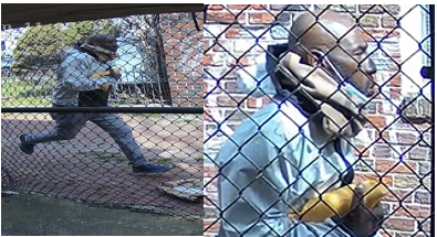 Police Search For Assault and Robbery Suspect in D.C.