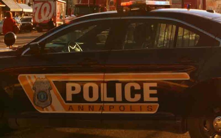 Annapolis police blotter: here's what's happening - photo licensed by shore news network.