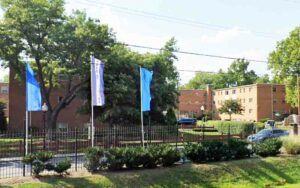 Laurel cop shot while serving warrant