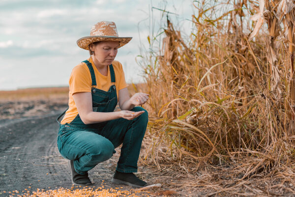 Dutch Farmers Launch Revolt Against Climate Rules Threatening To End Their Livelihoods