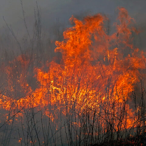 Parkway fire slowed friday evening commute - photo licensed by shore news network.