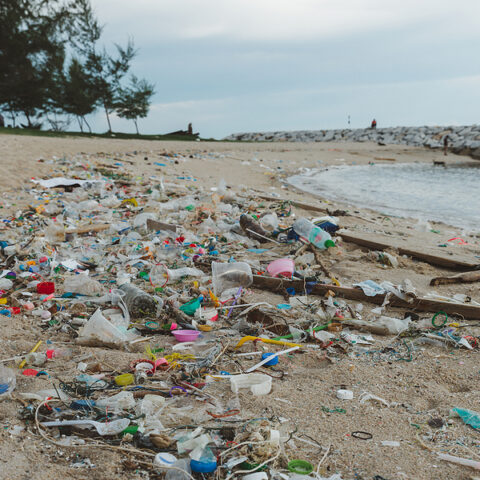 ‘trash, human waste and needles’: biden ignores environmental crisis facing seattle during earth day visit - photo licensed by shore news network.