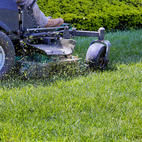 Feds say ocean county landscaper exploited and underpaid mexican workers - photo licensed by shore news network.